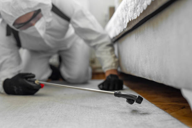 Professional Bed Bug Control technician working in La Salle County County, TX
